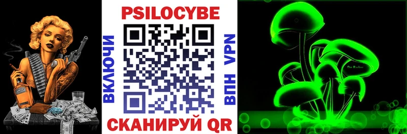 Псилоцибиновые грибы GOLDEN TEACHER  Купить  Комсомольск-на-Амуре 